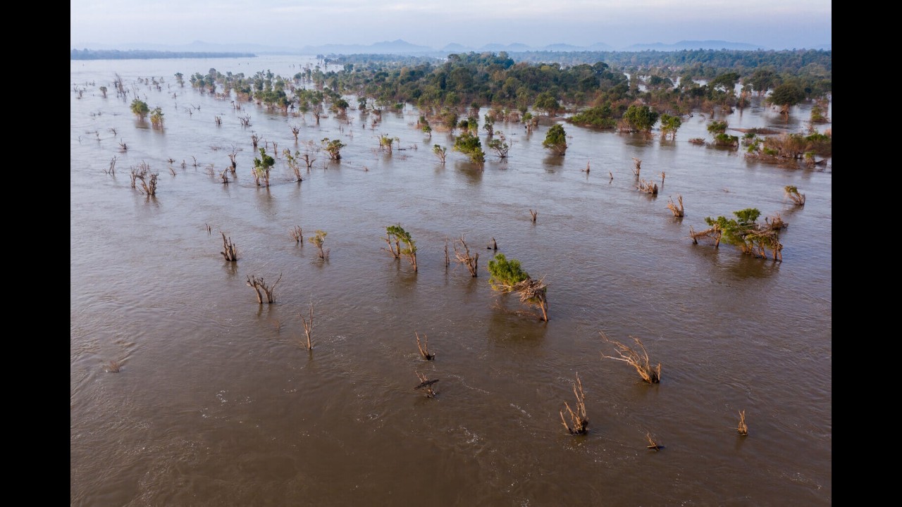 Engineering the Mekong: How Upstream Dams are Reshaping Cambodia’s Flooded Forest