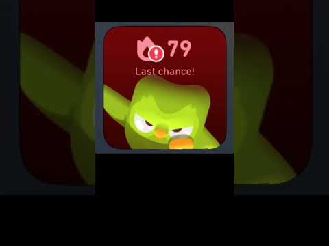 Duolingo widgets but the get progressively worse….