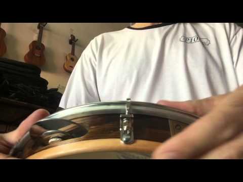 Pandeiro couro Seresta Brasil  10" O Profissional  110 VCR Verniz C/R