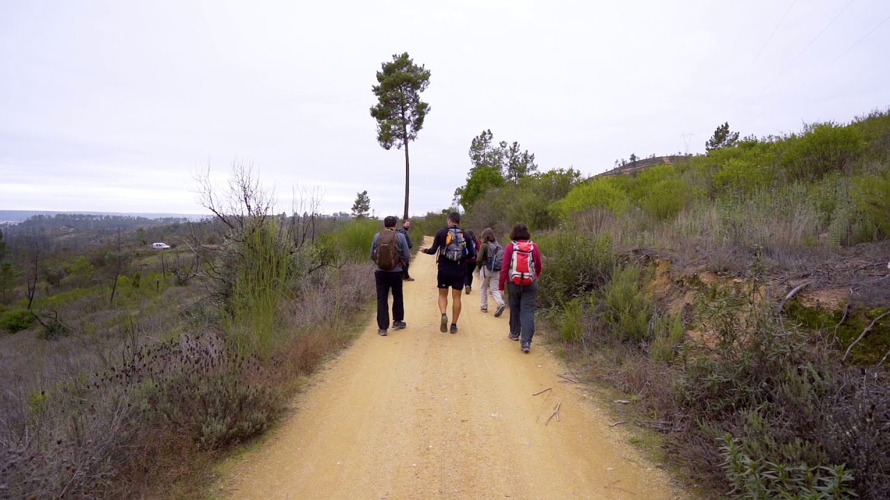 ROTAS DE MAÇÃO outdoor / PR-MAC-ROTA DA ORTIGA NORTE: Produção Video: Wizardjump