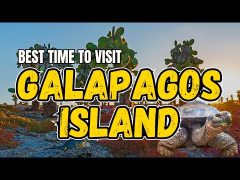 The ultimate GALAPAGOS Island travel guide! 🏝️