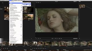 DaVinci Resolve 105: Managing Color Grades - 7. Storing  Playing Stills