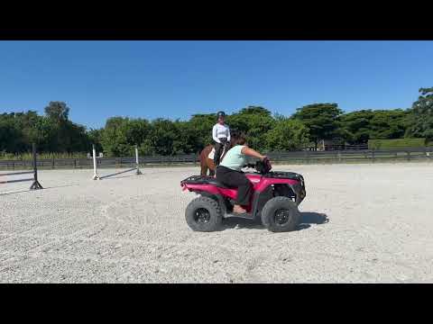 Pedro video 1
