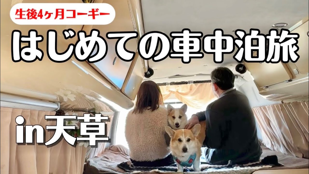 子犬コーギー初めての車中泊旅｜天草の絶景と海さんぽ