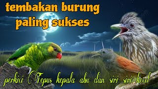 Download lagu Tembakan paling sukses 🔥perkici Tepus kepala abu dan siri siri mp3 Download lagu Tembakan paling sukses 🔥perkici Tepus kepala abu dan siri siri mp3