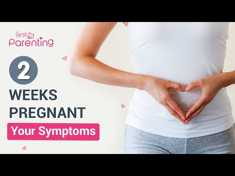 2 Weeks Pregnancy Symptoms - Know the Very Early Signs of Pregnancy