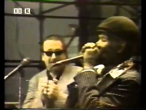 Big Walter Horton & Charlie Musselwhite