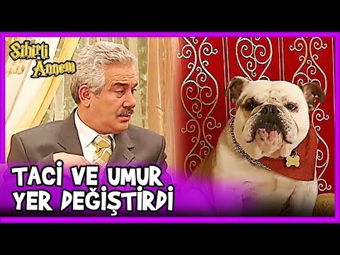 Taci ile Umur Bey Yer Değiştirirse - Sihirli Annem 5.Bölüm