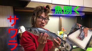 「捌く」 100円ショップの包丁でサワラを捌く‼️