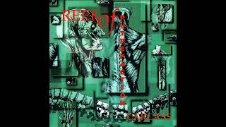 Carcass -  Pungent Excruciation