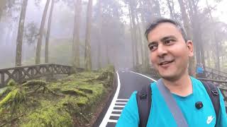 HEART of TAIWAN | ALISHAN TOUR | SOLO TRAVELERS GUIDE | TAIWAN ITINERARY