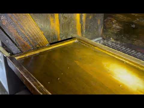 Dirty Bar Infested with Fruit & Drain Flies in Bedminster, NJ