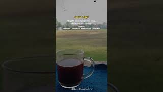 Download lagu status whatsapp keren ibarat kopi mp3 Download lagu status whatsapp keren ibarat kopi mp3