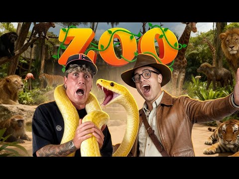 I'M BUILDING A HOUSE ZOO! My little tern is going crazy!