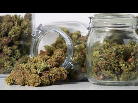 Nicht verhandelbar: ÖVP gegen Cannabis-Legalisierung