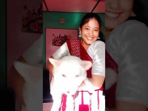 #trending #transaction #love #dog