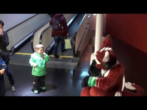 2015 Holiday Fursuiting Magic at the Mall w/ Kato Lion & Swissfurs