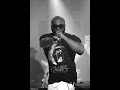 Kaaris - Zoo (Remix SOKA) 