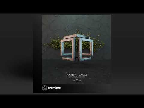 Premiere: Naeiiv - Voue (Vintash Remix) - Infinite Depth