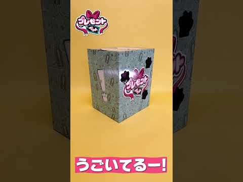 プレゼントペット　レインボーフェアリー #プレゼントペットレインボーフェアリー #プレゼントペット #ペット