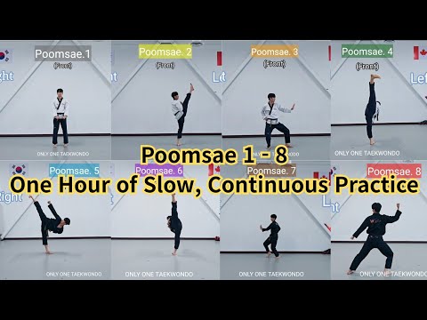 Poomsae 1-8 (One Hour of Slow, Continuous Practice)