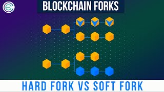 What are Blockchain Forks?