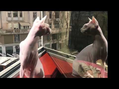 @ionbogdanstefanescu  Violeta Dinescu - et pourtant c'est mieux qu'en hiver