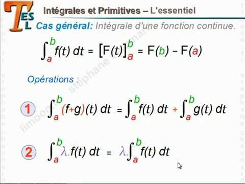 Maths TES TL - Intégrales et Primitives - Mathématiques Terminale BAC ES L