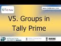 V5 Groups In Tally Prime Secondary Groups In Tally Prime Tally Brains Masters In Tally Prime