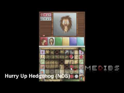 Hurry up Hedgehog! Nintendo DS