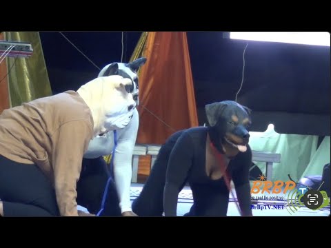 2023 DOMINICA CALYPSO: MIGHTY D LIVE TALKING DOGS 'SEMI-FINALS' FINALISTS - BrBpTV