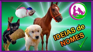 12 IDEIAS de NOMES para ANIMAIS