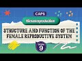 GRADE 9 Structure And Function Of The Female Reproductive System