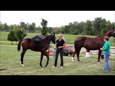 Radar's Oldenburg Inspection
