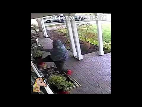 GbgDwayne - kick doe flow (prod. rx wanny)