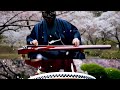 Sakura Burn