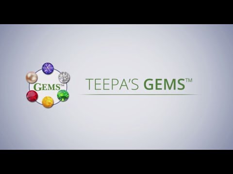 Teepa's GEMS® Brain Change Model