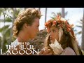Return To The Blue Lagoon The Passionate Jungle Wedding Love Love