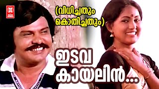Vidhichathum Kothichathum