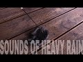 Sleep Immediately with Sounds of Heavy Rain and Burning Incense Stick 4K asmr