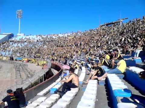 "Gallina La Puta  Que Te Parió" Barra: Barra Amsterdam &bull; Club: Peñarol