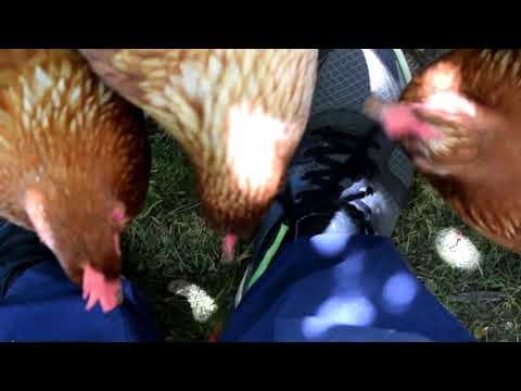 Pohod članov DU Križevci