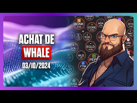 ⛔📉 La fin de semaine dans le rouge ? - 03/10/2024