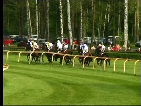 LL, 1. 5. 2017, 8. dostih - HANDICAP CENA SPOLEČNOSTI AUTO OPAT