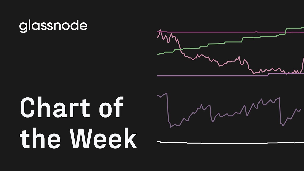 Chart of The Week: BTC Cohort Sizes (IBIT Options OI)
