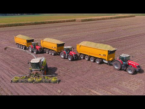 Mais 2022 : 2 of the Biggest USA Equipment CF2500 / Vreba Dairy / Claas Jaguar 990 / Maishäckseln 4K