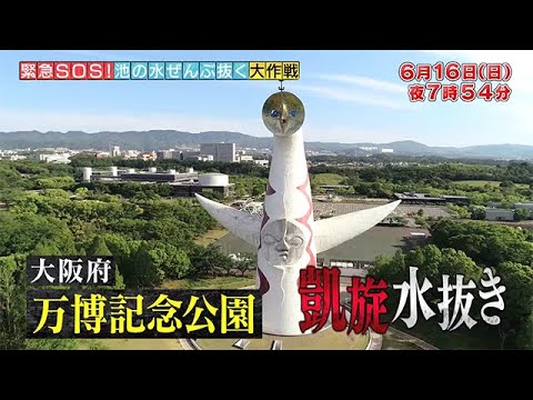 月曜プレミア8 ドラマ｜テレビ東京