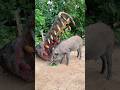 Giant Wild Boar Trap - The Power Pig Trap Make from Big Wood #animals #wildlife #shorts