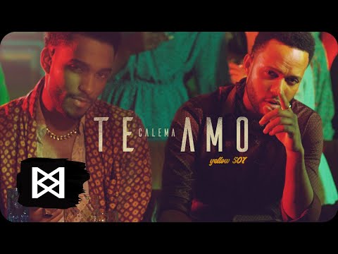 Calema - Te Amo on Spotify Charts