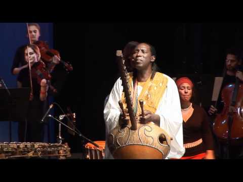 N'Faly Kouyaté - KORA STRINGS - N'Diyanamo